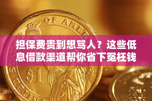 济南担保费贵到想骂人？这些低息借款渠道帮你省下冤枉钱
