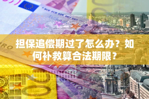 济南担保追偿期过了怎么办？如何补救算合法期限？