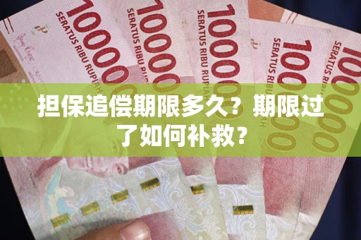 济南担保追偿期限多久？期限过了如何补救？